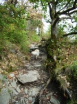 06-08-08 Hohenkrähen