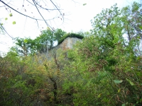 06-08-08 Hohenkrähen