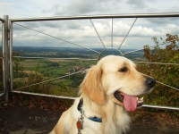 06-08-08 Hohenkrähen