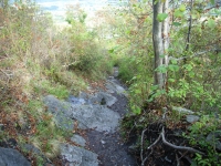 11-09-11_17_Hohenkraehen