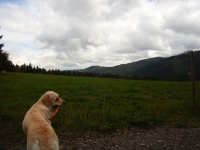 Vom Rinken zum Feldsee (22.08.2006)