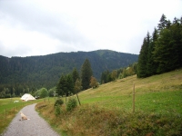 06-08-22-06_Rinken-Feldsee