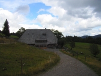 06-08-22-12_Rinken-Feldsee