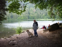 Vom Rinken zum Feldsee (22.08.2006)