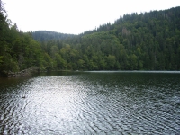 06-08-22-17_Rinken-Feldsee