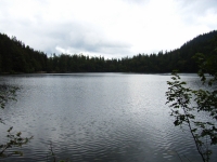 06-08-22-18_Rinken-Feldsee