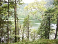 Vom Rinken zum Feldsee (22.08.2006)