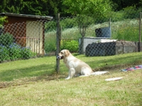 Grillnachmittag (Juni 2006)