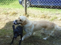 Grillnachmittag (Juni 2006)