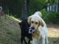 Grillnachmittag (Juni 2006)