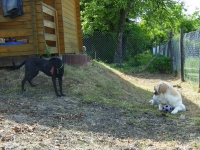 Grillnachmittag (Juni 2006)