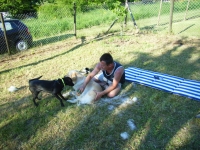 Grillnachmittag (Juni 2006)