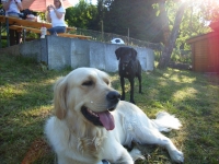 Grillnachmittag (Juni 2006)