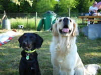 Grillnachmittag (Juni 2006)
