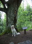 Balzer Herrgot (23.07.2006)