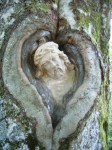Balzer Herrgot (23.07.2006)