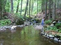 060730_Baerental_Titisee