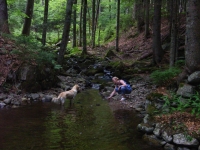 060730_Baerental_Titisee