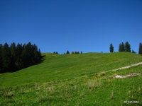 111003Ibergeregg