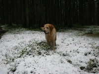 111019_erster_Schneefall