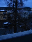 12-01-10_Baumfaellung