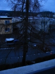 12-01-10_Baumfaellung