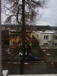 12-01-10_Baumfaellung