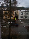 12-01-10_Baumfaellung