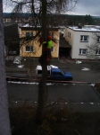 12-01-10_Baumfaellung