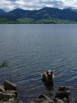 11-08-13_06_Einsiedeln_-_Ibergeregg