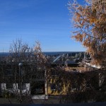 IMG_1045